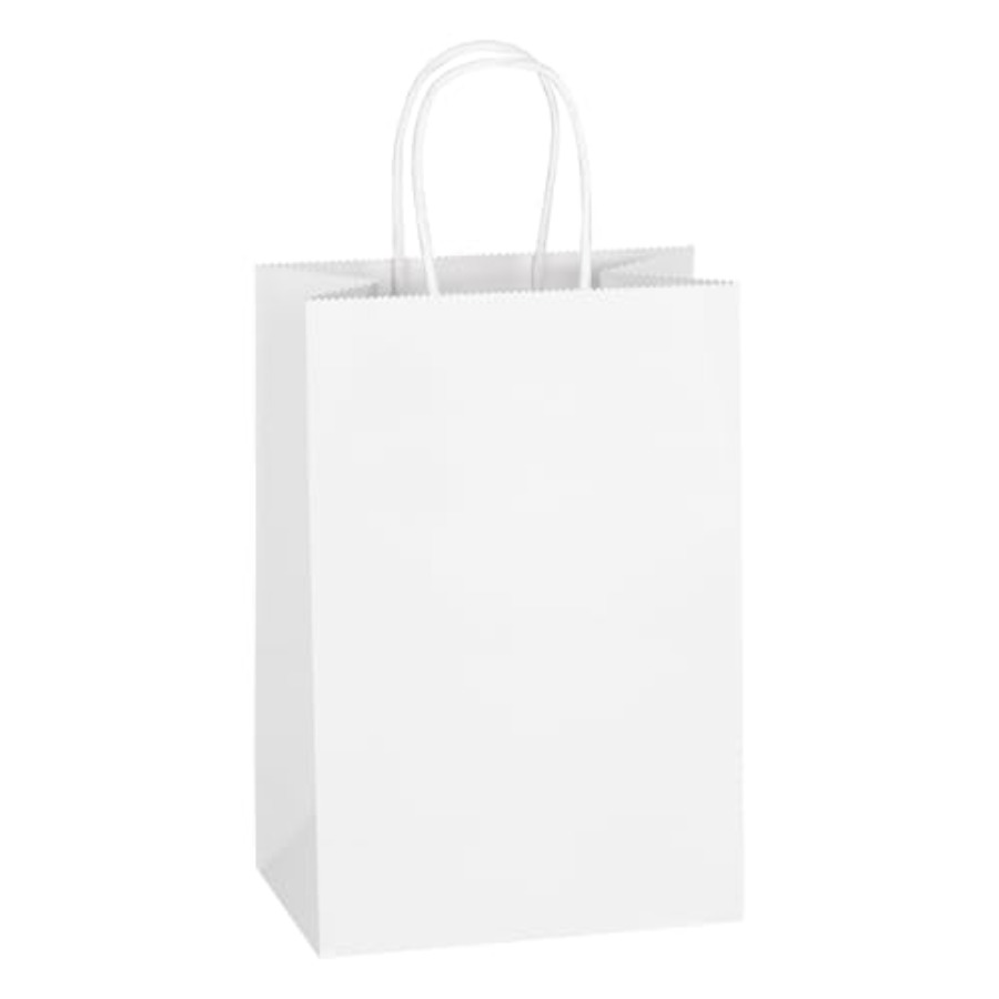 Party Favor Bag - 100 Pack 5.25x3.25x8.5 Inch Small Kraft