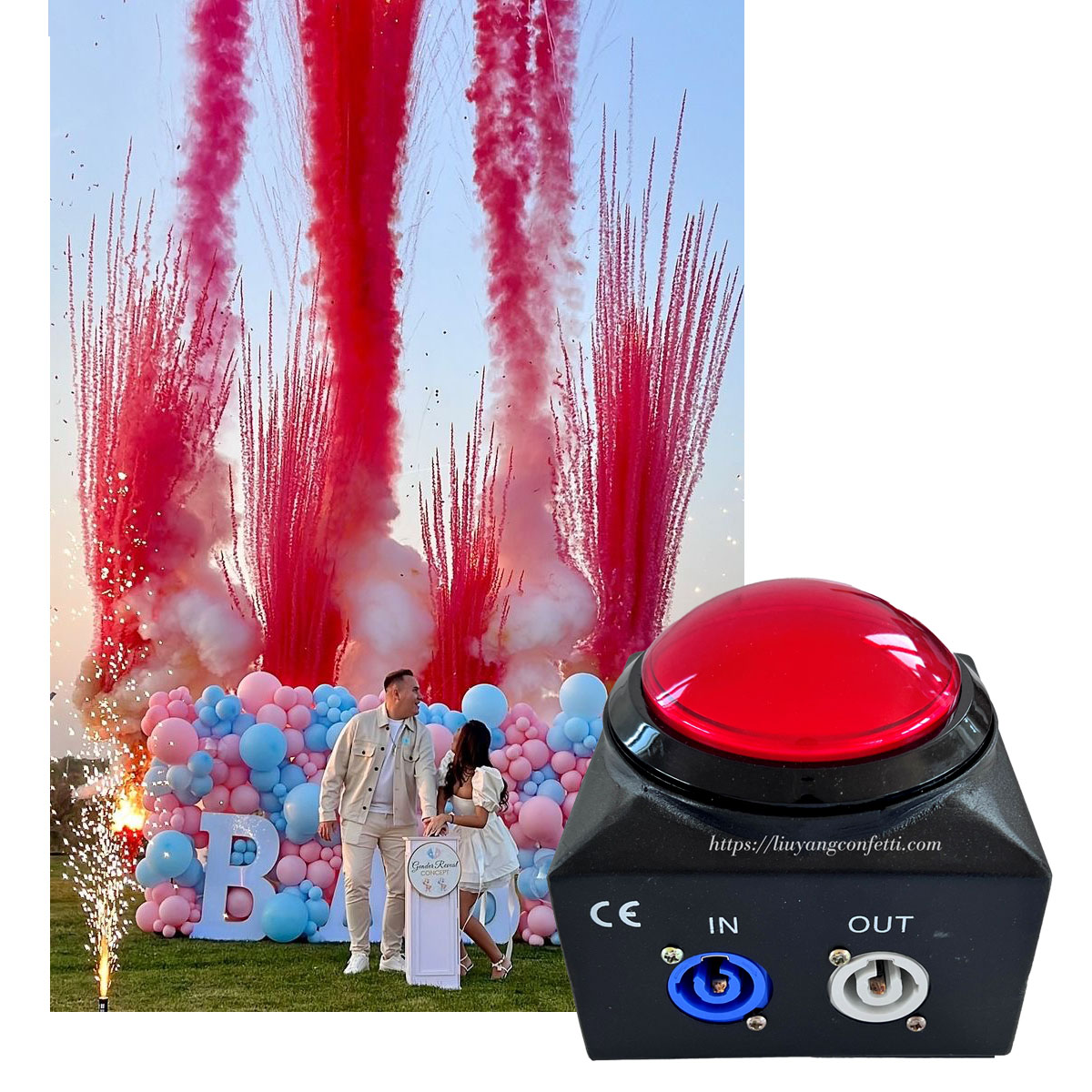 Confetti Cannon Tube - Gender Reveal Red Button Controller Holi