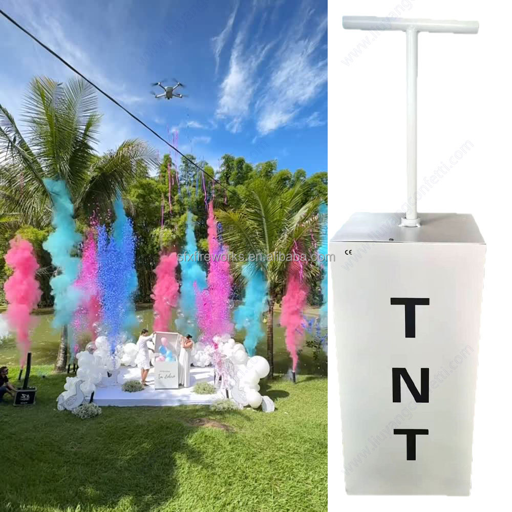 Electric Gender Reveal Smoke B - đánh giá và giá Confetti Cannon Tube