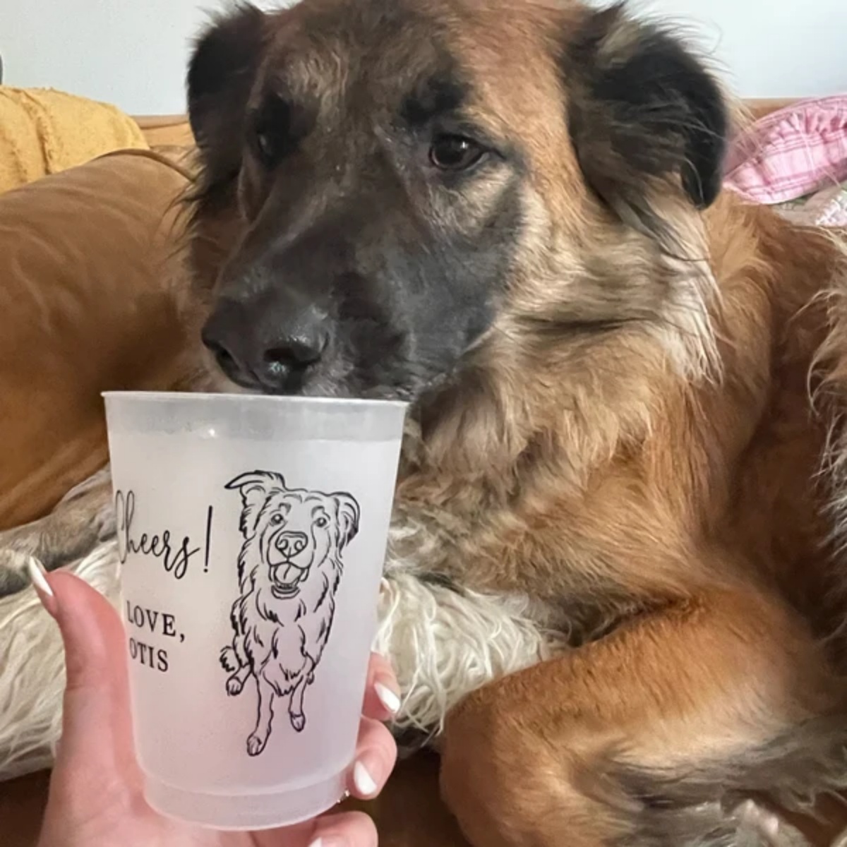 10/50 Personalized Barn Weddin - đánh giá và giá Plastic Cup 50Pcs